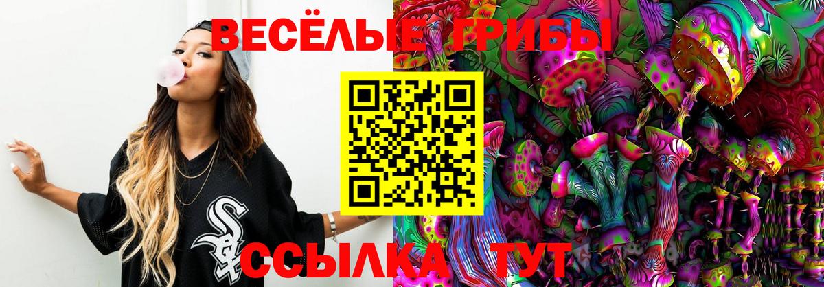 Краснокаменск  Галлюциногенные грибы ЛСД  Вход с VPN  Галлюциногенные грибы прущие грибы 